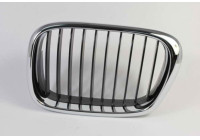 Radiator grille