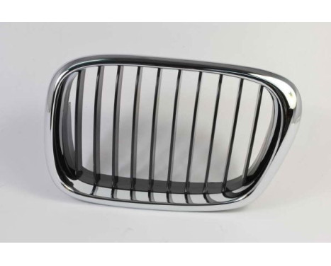Radiator grille
