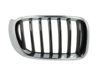 Radiator grille