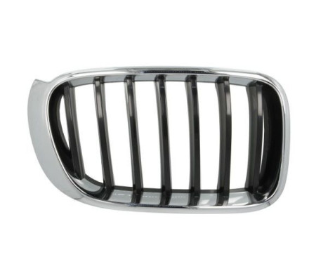 Radiator grille