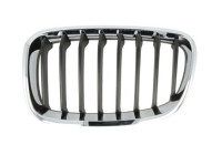 Radiator grille