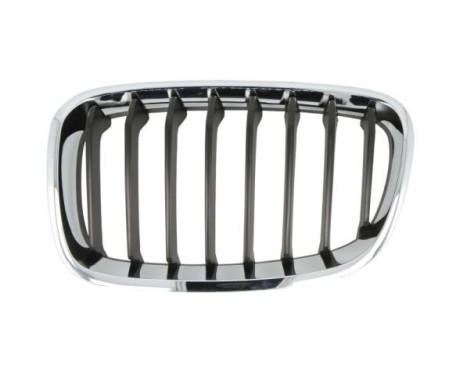 Radiator grille