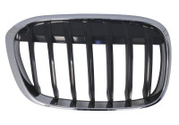 Radiator grille