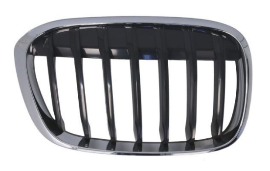 Radiator grille