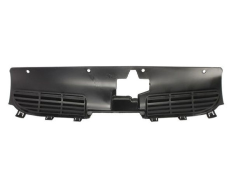 Radiator grille, Image 2