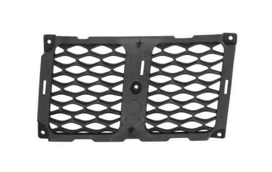 Radiator grille