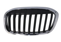 Radiator grille