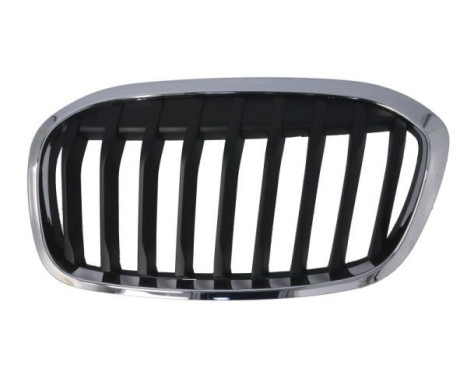 Radiator grille