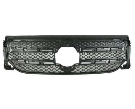 Radiator grille