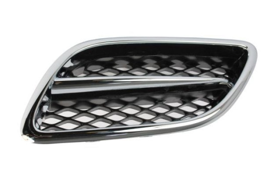 Radiator grille