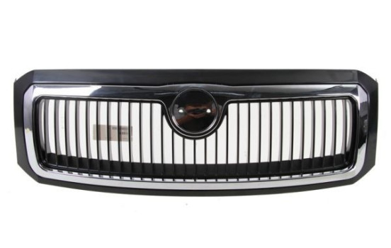 Radiator grille