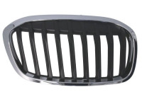 Radiator grille