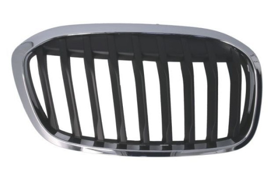 Radiator grille