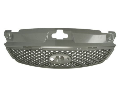 Radiator grille, Image 2