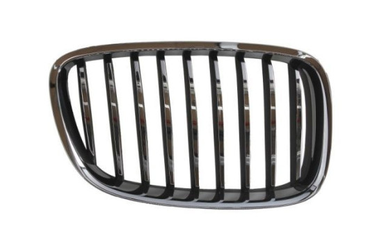 Radiator grille