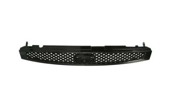 Radiator grille, Image 2