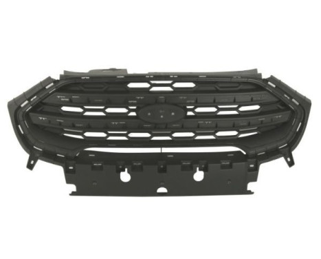 Radiator grille