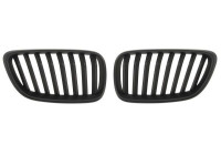 Radiator grille