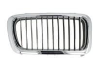 Radiator grille