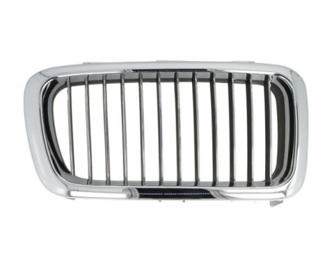 Radiator grille