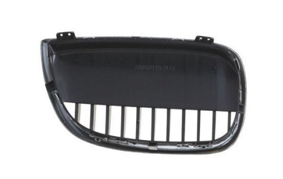 Radiator grille, Image 2
