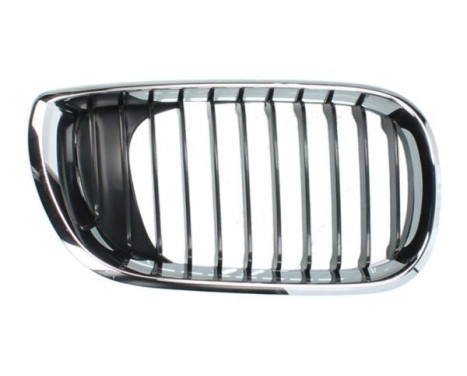 Radiator grille