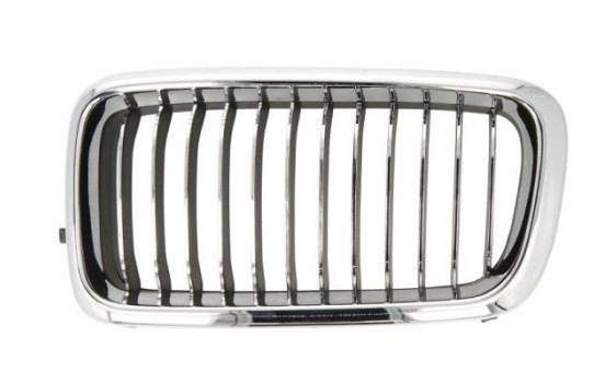 Radiator grille