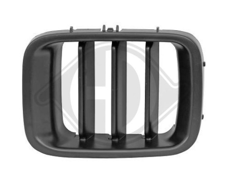 Radiator grille, Image 2