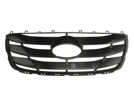 Radiator grille