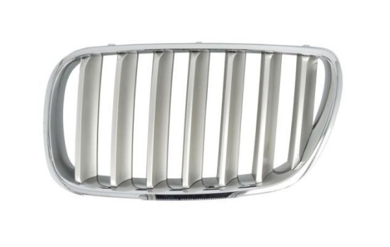 Radiator grille