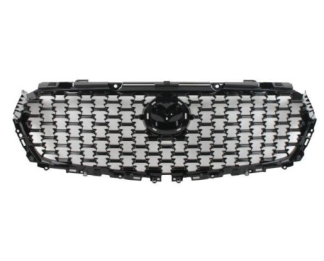 Radiator grille