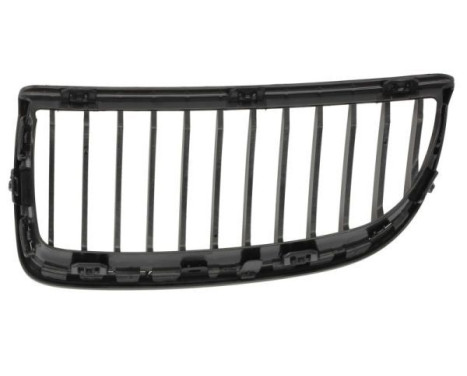 Radiator grille, Image 2