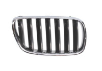 Radiator grille