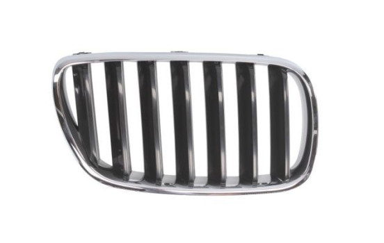 Radiator grille