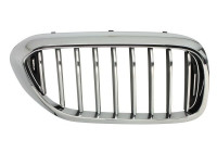 Radiator grille