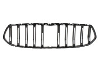 Radiator grille