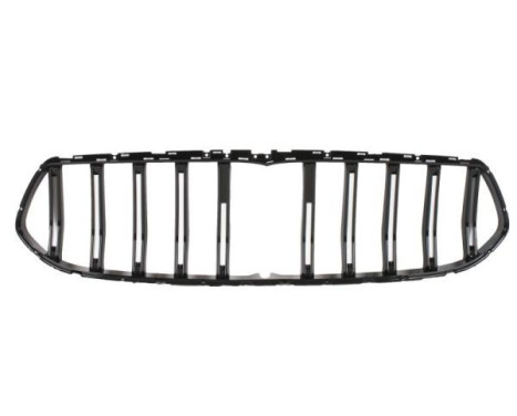 Radiator grille