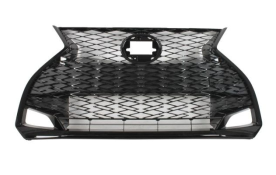 Radiator grille