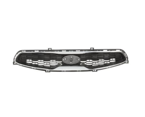 Radiator grille