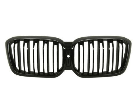 Radiator grille