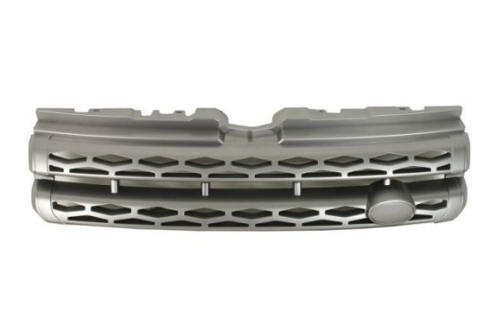Radiator grille