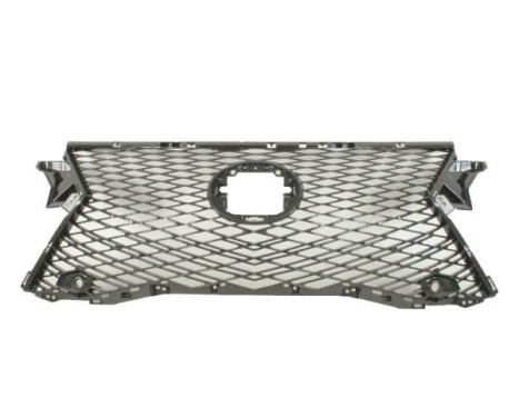 Radiator grille