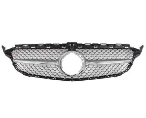 Radiator grille, Image 2