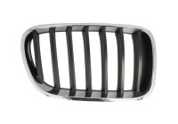 Radiator grille