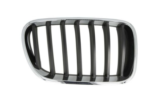 Radiator grille