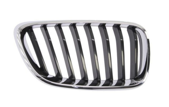 Radiator grille