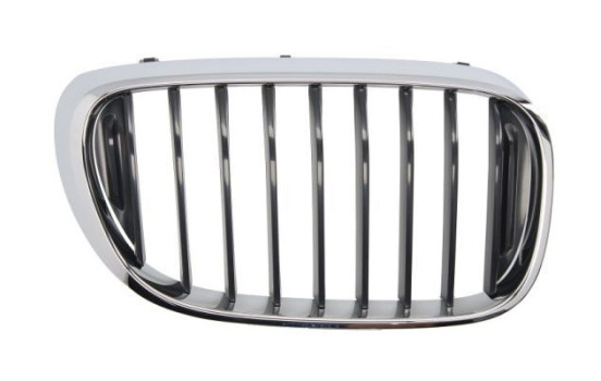 Radiator grille
