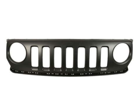Radiator grille