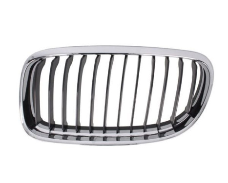 Radiator grille