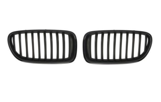 Radiator grille